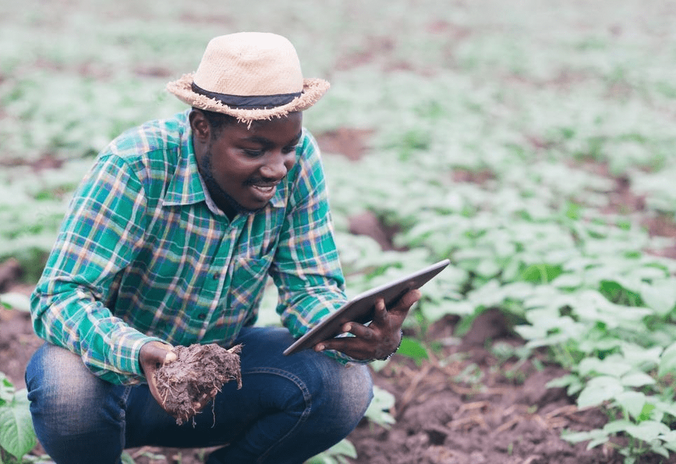 wakama_farmer_tech